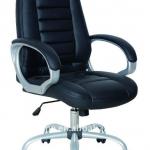 Europe style office chair HF-G5009