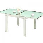 Glass Dining Table furniture CY-06376B,CY-06376F