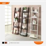 SIMPLE and PRETTY Book Shelf with 5 ladders