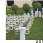 Solid wood wedding chairs for sale Q043