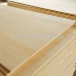 China Paulownia edge glued board lumber