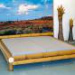 Bamboo Bed-
