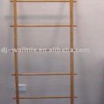 2011 Fashional&amp;Functional Bamboo Shelf