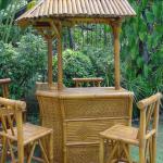 100 Island Bamboo Bar Set-
