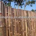 garden fence-