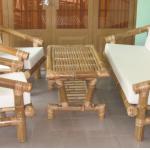 Bambooo furniture