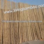 TAM VONG BAMBOO POLE