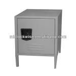 Individual Steel Cabinet