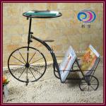 Handicraft Iron Bicycle Magazine Rack