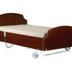 RS101-B Electric Homecare and Nursing Bed