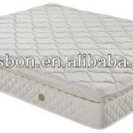 2012 Lisbon hospital mattress