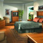 holiday inn hotel bedroom furniture