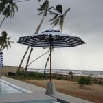 Premium Dickson Designer Teak Market Umbrella