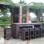 2014 Garden PE Rattan outdoor pull up bars/Bar furniture