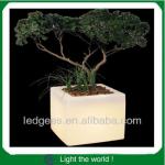 Fancy led furniture, led illuminated Flower Pot-Coolqing Flower Pot
