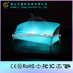 RGB Import Chips Lighting Two Seats Sofa LED LGL55-8011