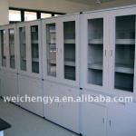 WCY Chemistry Instrument Cabinet (lab furniture/school furniture)