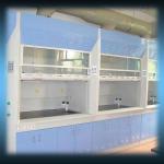 Biosafety cabinet / Laminar air flow / stainless steel fume exhaust hood