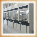 Stainless steel or all steel chemical laboratory fume hood