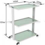 2014 Hot sell beauty trolley AYJ-Y1201