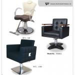 Top-Grade Hair Salon Furniture and Styling Chair Manufacturer-A38