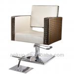 Leisure Hair Salon Styling Chair Supplies