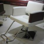 Hair salon styling chairs and equipment with ABS armrest