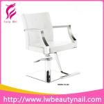 Barber Chair / Hydraulic Chair / Salon Furniture