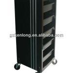 2013 Excellent quality new design hairdressing carry cases