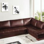 Zookos Sectional-B21