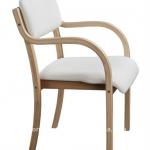 Bent wood Dining Chair-TB-1061