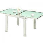 Glass Dining Table furniture