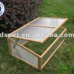 cold frame greenhouse DXGH001
