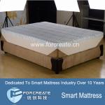 Sleepwell 100% Natural Latex Mattress