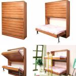 twins murphy bed wall bunk bed B09F-B09F