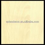 Hot decorative printing paper-