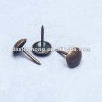 round furniture decorative nails-DA5516
