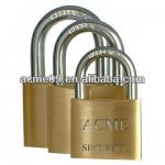 2013 BRASS PADLOCKS