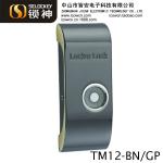 Zinc alloy TM1990A ibutton card electronic keyless armstrong drawer lock(TM12)