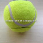 Top Quality Walker Tennis Ball Glides