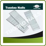 T Series Nails