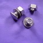 stainless steel carriage bolt-