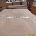 First-Class Commerical Plywood Poplar and Hardwood Core Film Faced Plywood E0 Glue for Funiture and Packing Plywood