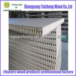 Door Size Hollow Partical Board-010