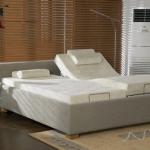best supplier of adjustable bed-Comfort580