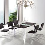 morden funiture dining tables and chairs