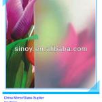 China Professional Supplier Offer Acid-Etched Mirror with Designs