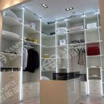 Popular walk-in wardrobe(019)