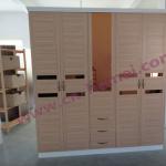 Fashionable wooden wardrobe