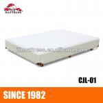 NEW solid wooden bed set with spring divan for sale